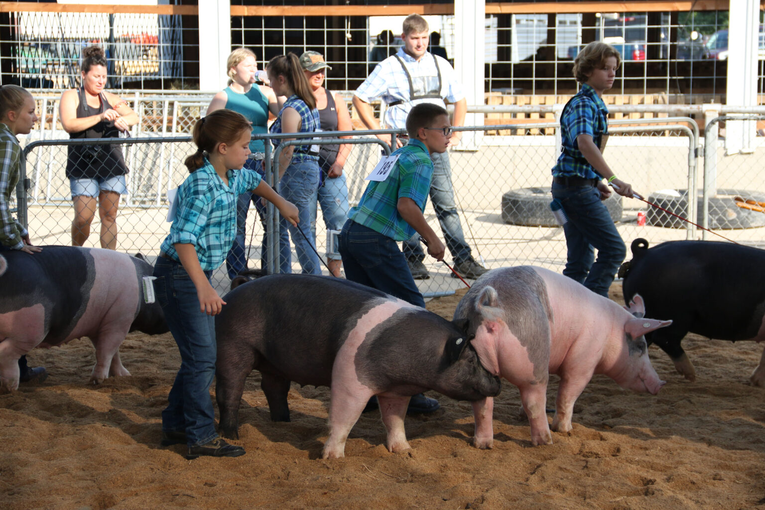 Oconto County Fair to the Fair!